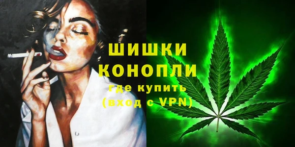 Альфа ПВП Лиски