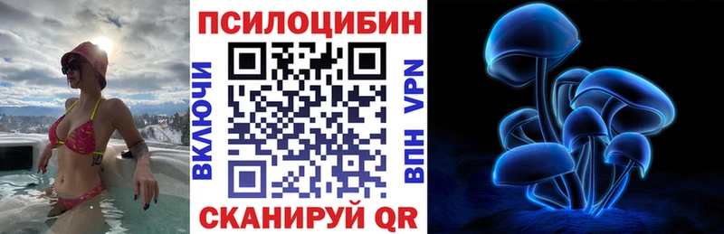 omg как войти  сколько стоит  Томилино  Галлюциногенные грибы Cubensis 